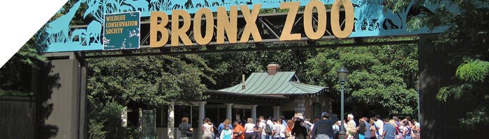 Outdoor PA Paging System at Bronx Zoo