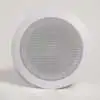 ceiling PA Speaker