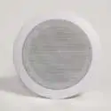 ceiling PA Speaker