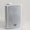 paging speaker