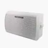 Wireless PA Speaker
