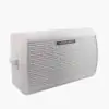 Wireless PA Speaker